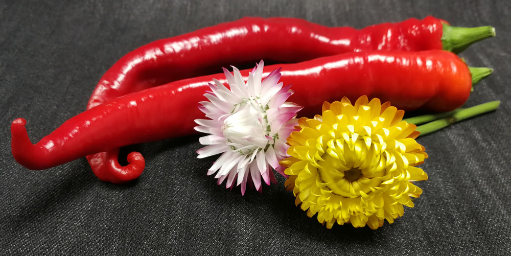 Blommor och chili)
